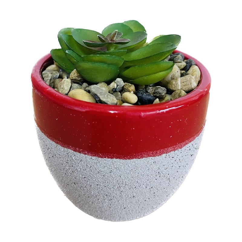 2 Tone Jar Succulent Decor - The Growers Depot