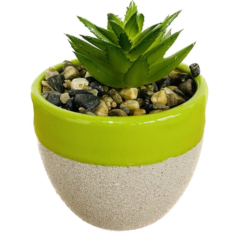 2 Tone Jar Succulent Decor - The Growers Depot