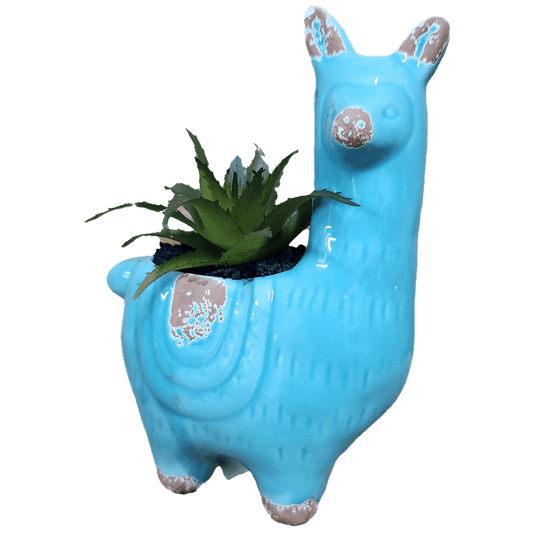 Llama Succulent Faux, Aqua