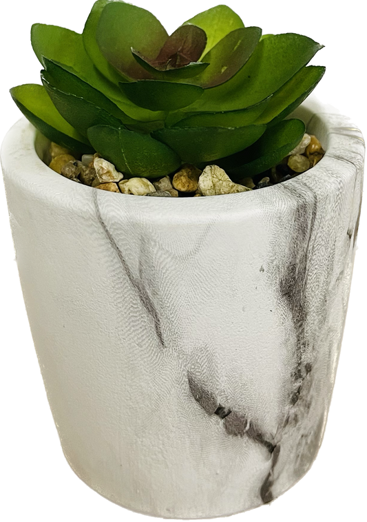 Marble Pot with Succulent Decor