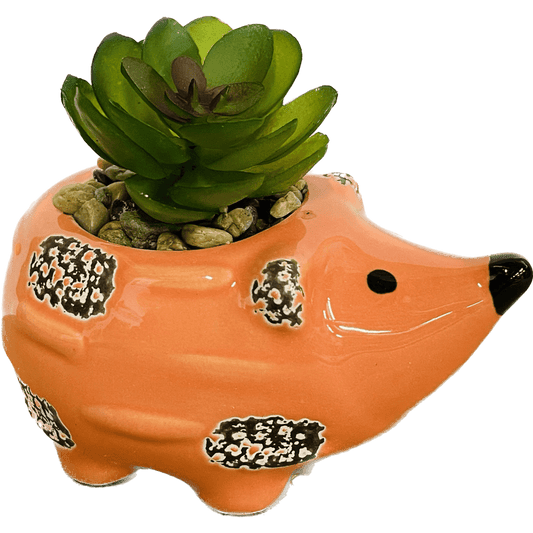 Medium Hedgehog Succulent Decor