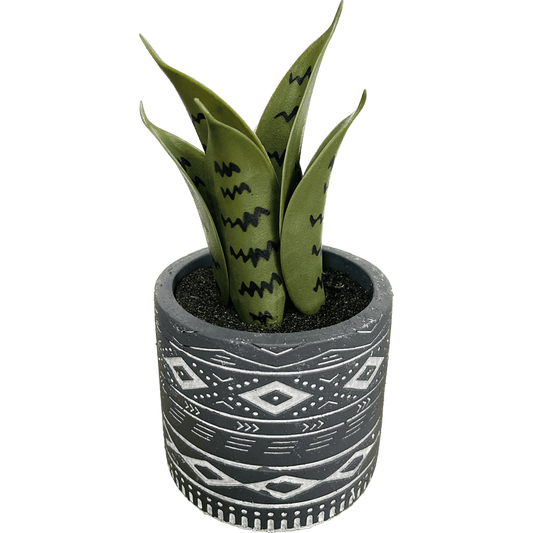 Medium Terra Succulent Snake Plant Decor