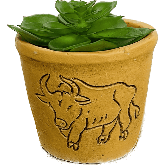 Terra Cotta Animal Succulent Decor