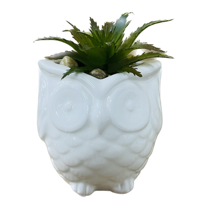 Owl Succulent Decor