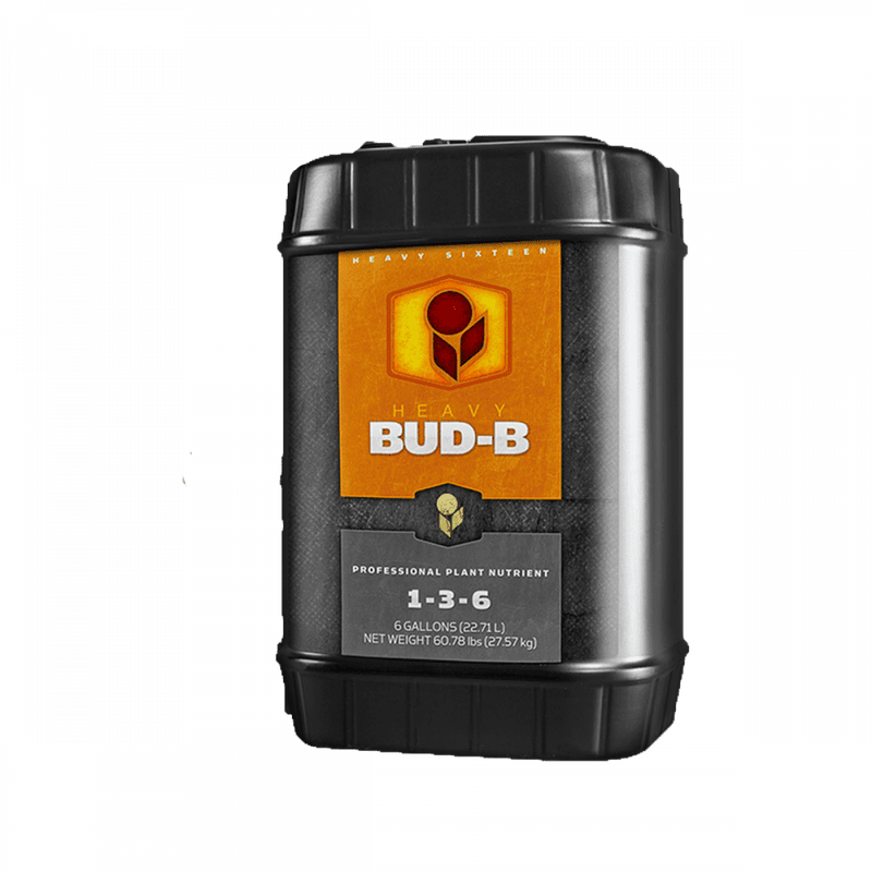 Heavy 16 Bud B 6 Gallon