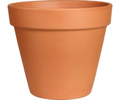 Terra Cotta Clay Flower Pot, Standard, 8-in.