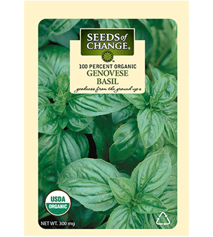 Seeds Of Change Genovese Basil The Growers Depot